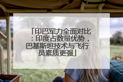 印巴军力全面对比：印度占数量优势，巴基斯坦技术与飞行员素质更强